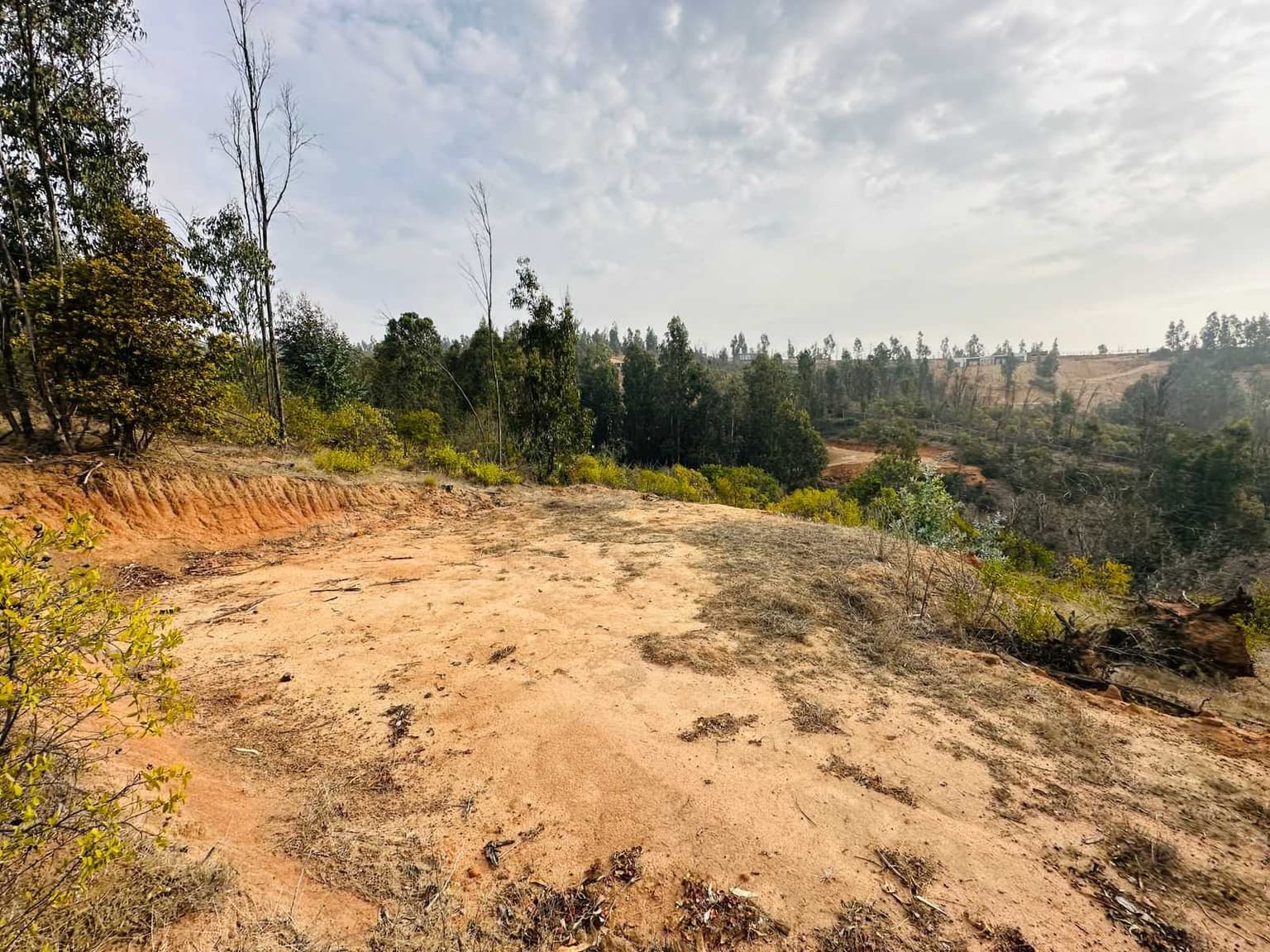 VENTA PARCELA 5000 MTS2 VALLE VERDEMARLIMACHE (179219)