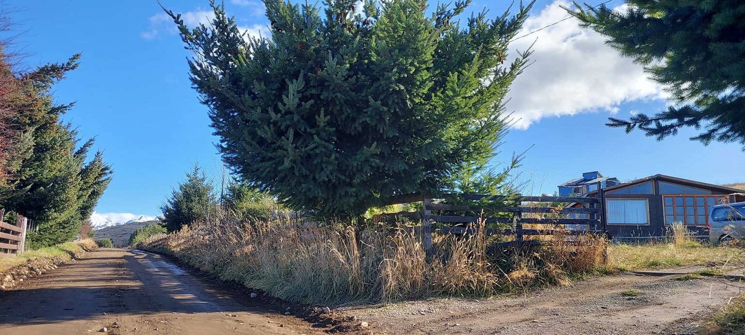 OFERTA Parcela en Panguilemu - Coyhaique (79706)