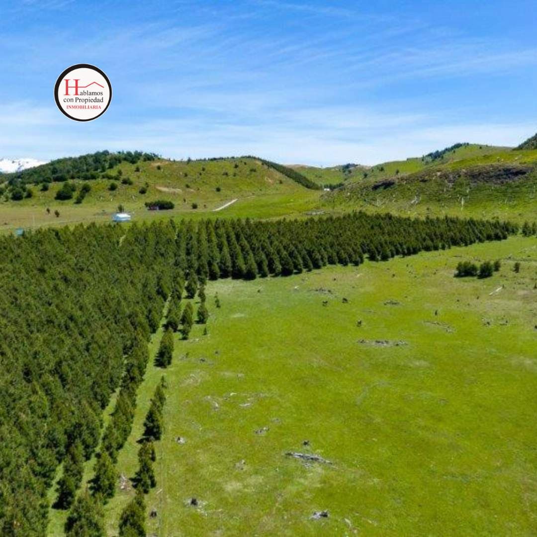 Parcelas en Cerro Galera 5.000 m², Coyhaique (172837)