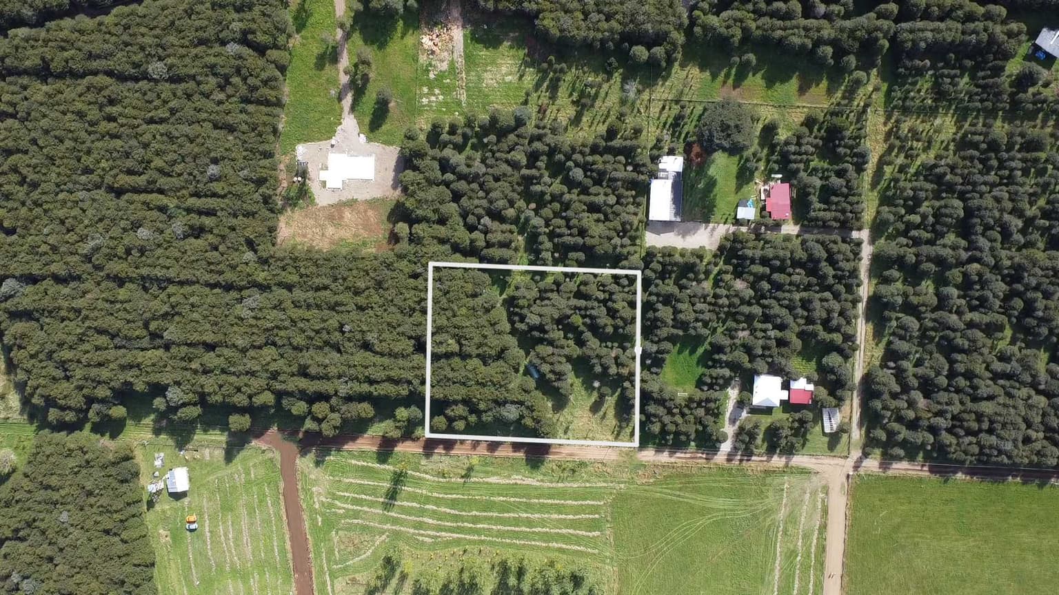 Terreno Plano con Bosque Nativo - Aysén (172857)
