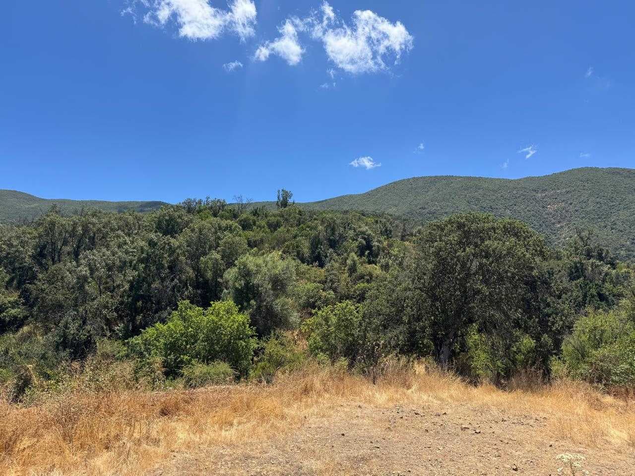 Parcela – Quebrada del Ají, Quillota (142629)