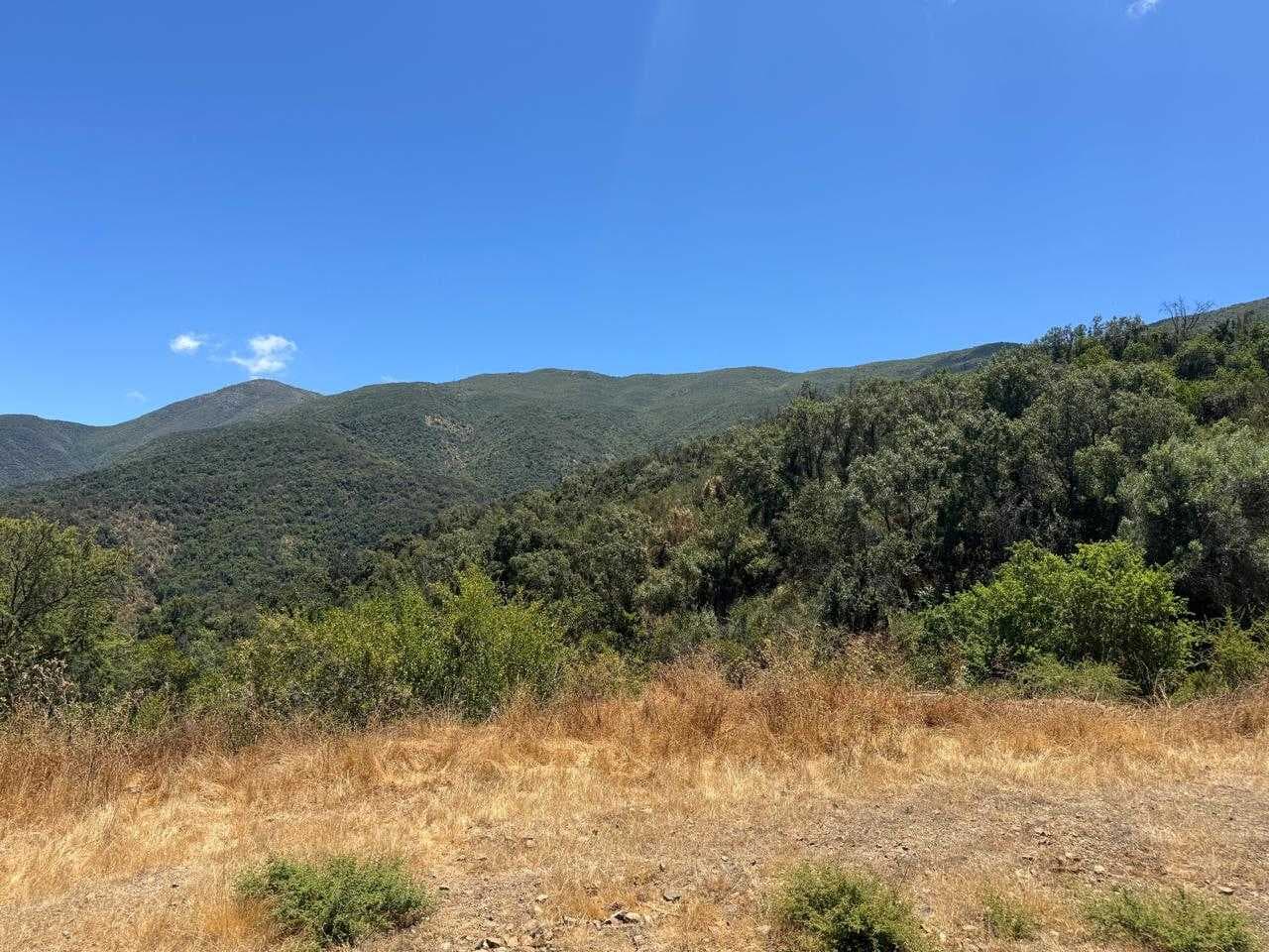 Parcela – Quebrada del Ají, Quillota (142629)
