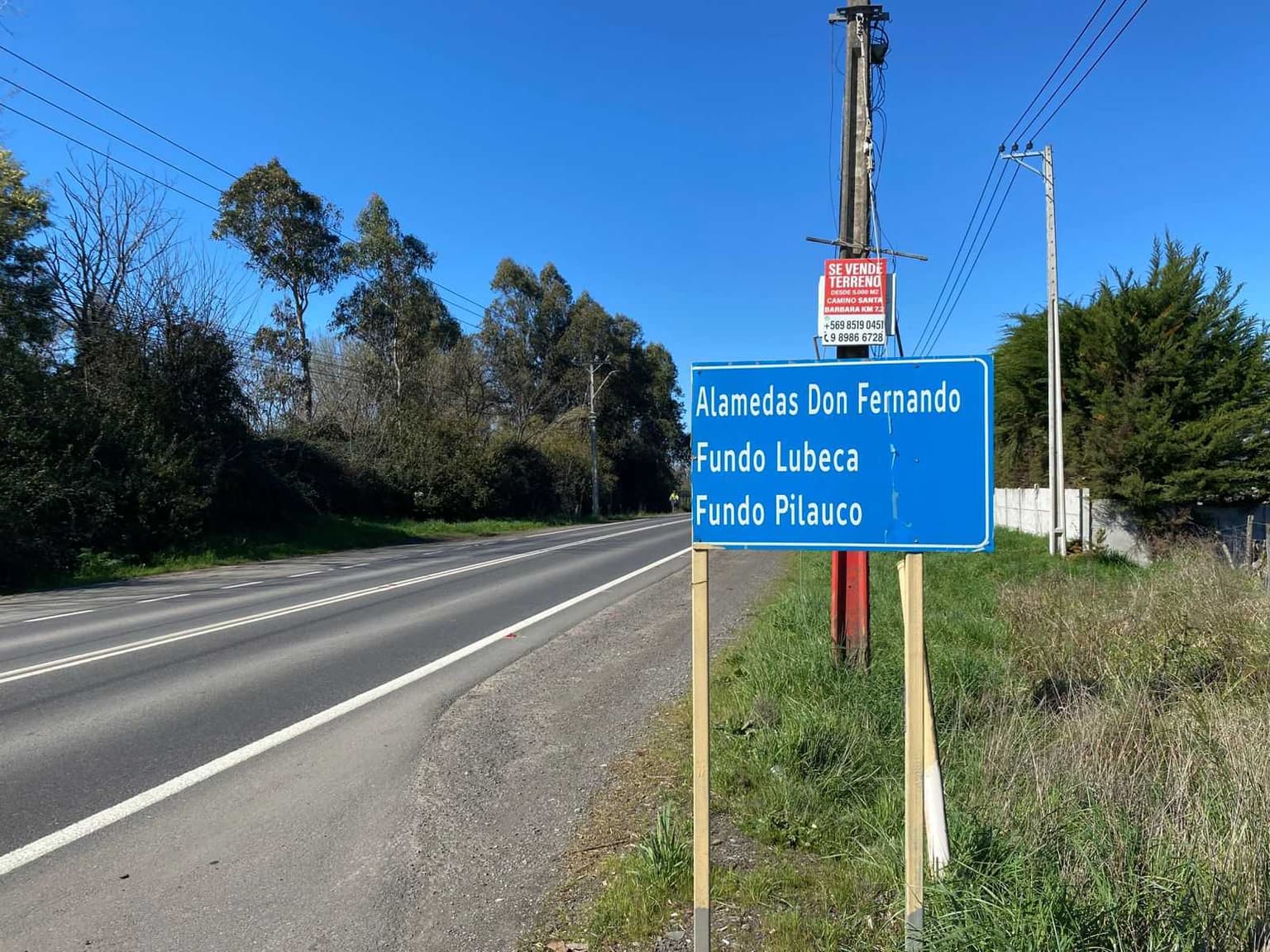 Muy cerca de Los Angeles (116628)