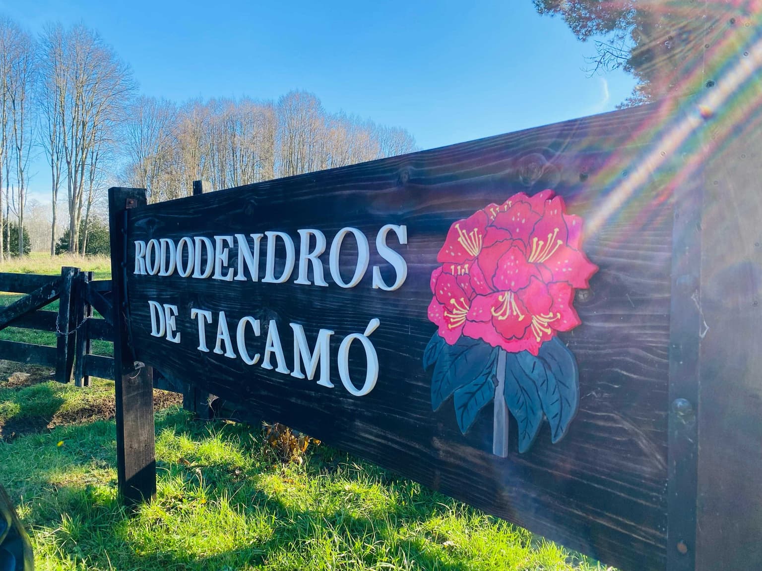 Parcela, Loteo Rododendros de Tacamó (105143)