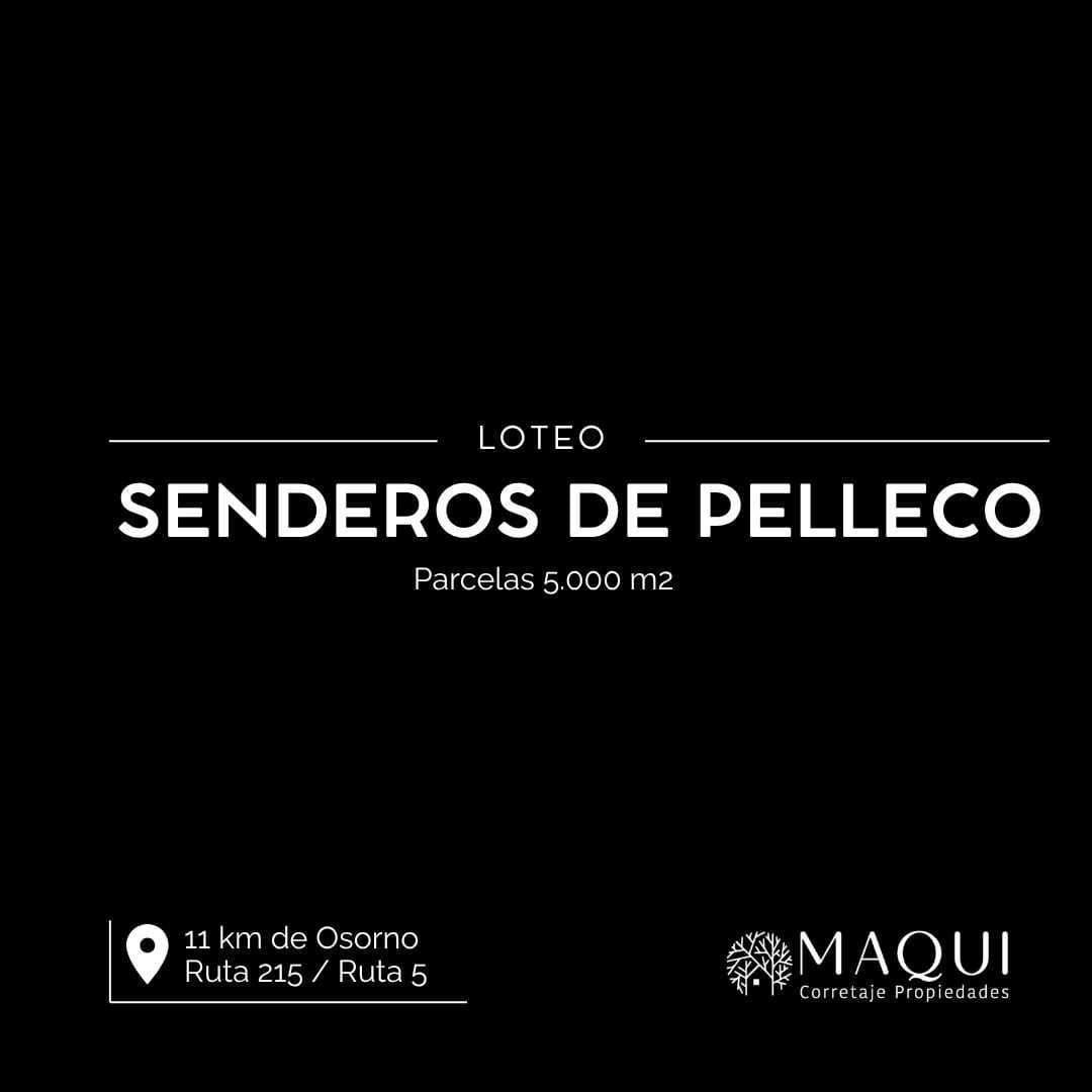 PARCELAS, LOTEO SENDEROS DE PELLECO (107199)