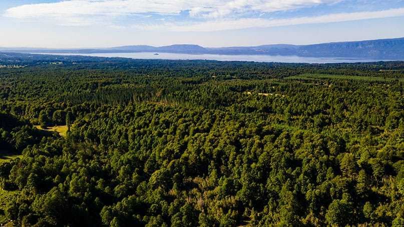 Parcela 5.000, a 21 Kilometros de Pucón (74528)