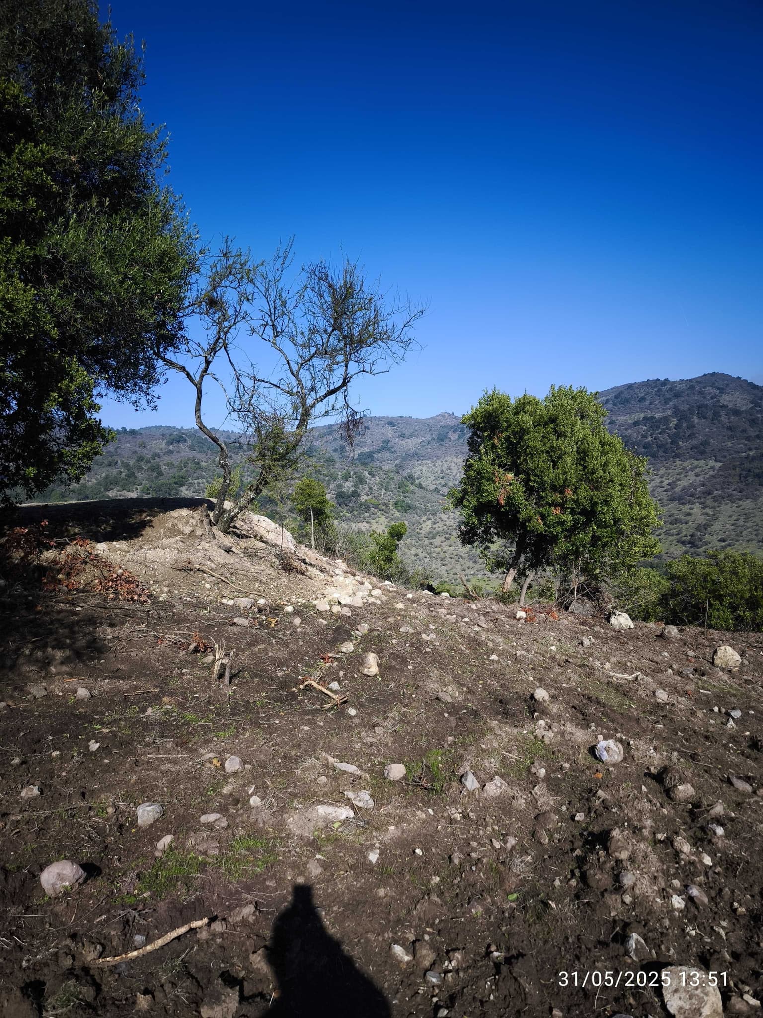 Vende Parcela, 5.000 Mt2, Cerro Los Cristales (99970)