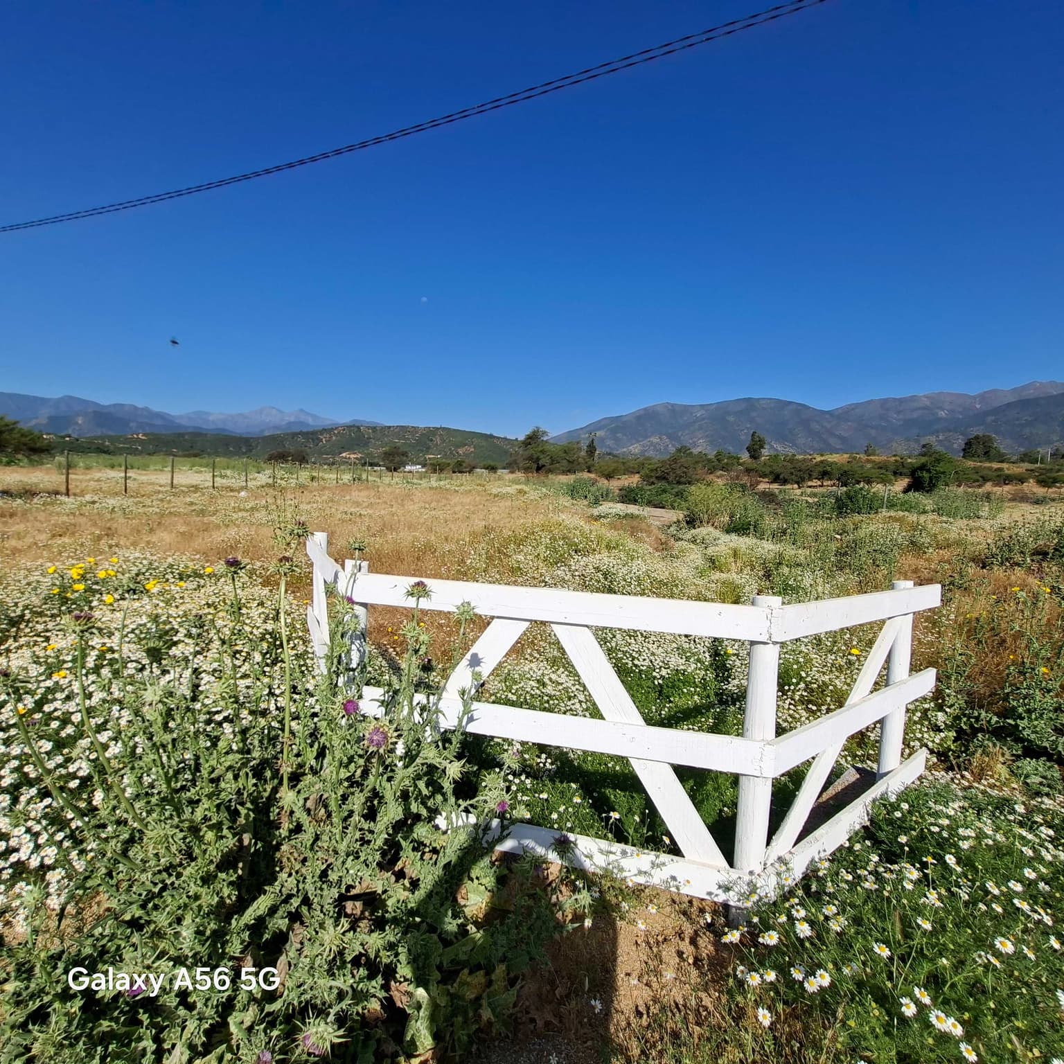 Se venden 3 parcelas listas para contruir (127459)