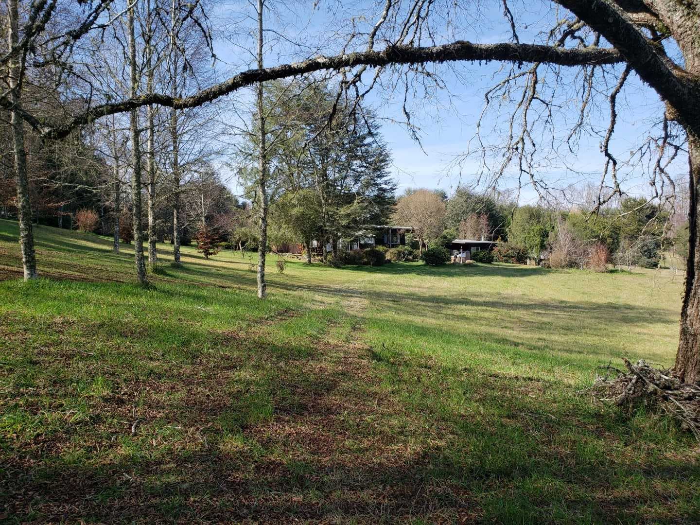 Campo de 9.5Has en sector Huiscapi Loncoche (142037)