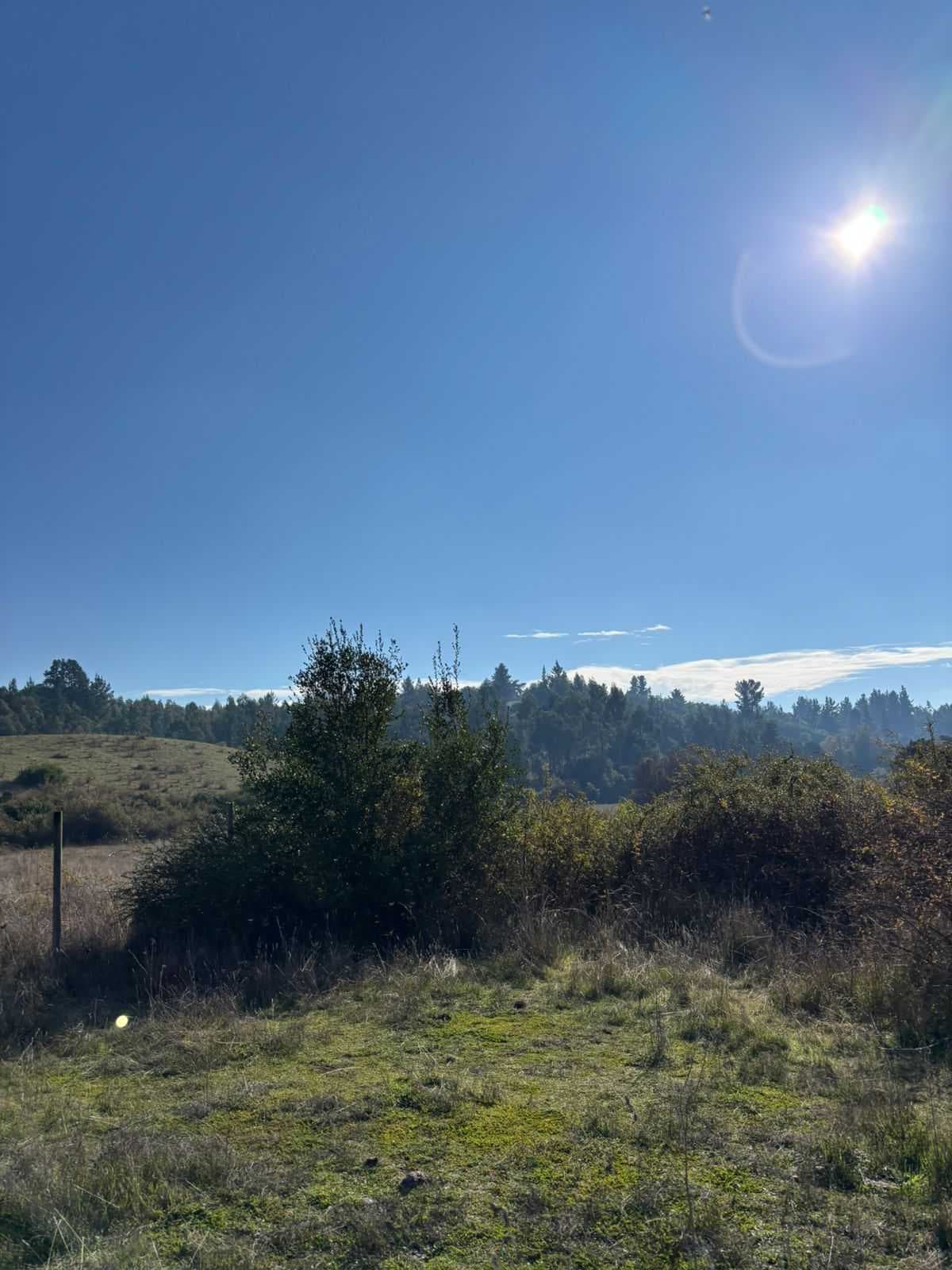 parcelas de 5000m2 en pulperia (103640)