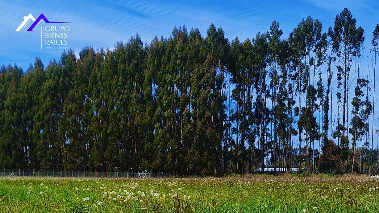 Parcela Condominio Vive Frutiilar (72449)
