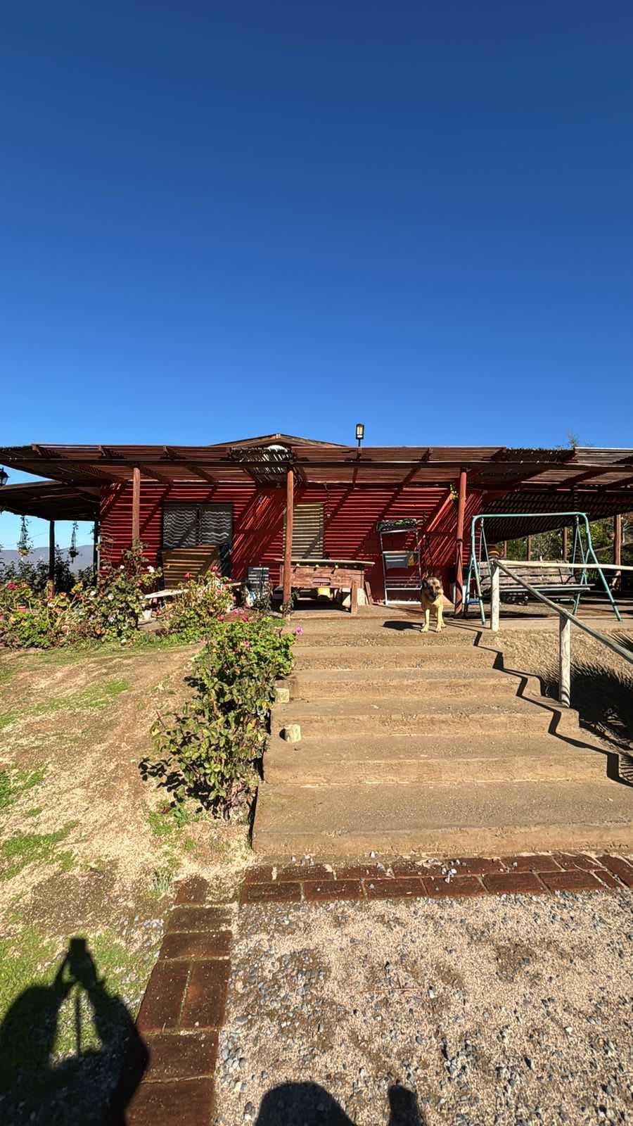 Parcela 5700 m2 - Piscina - Árboles Frutales (99965)