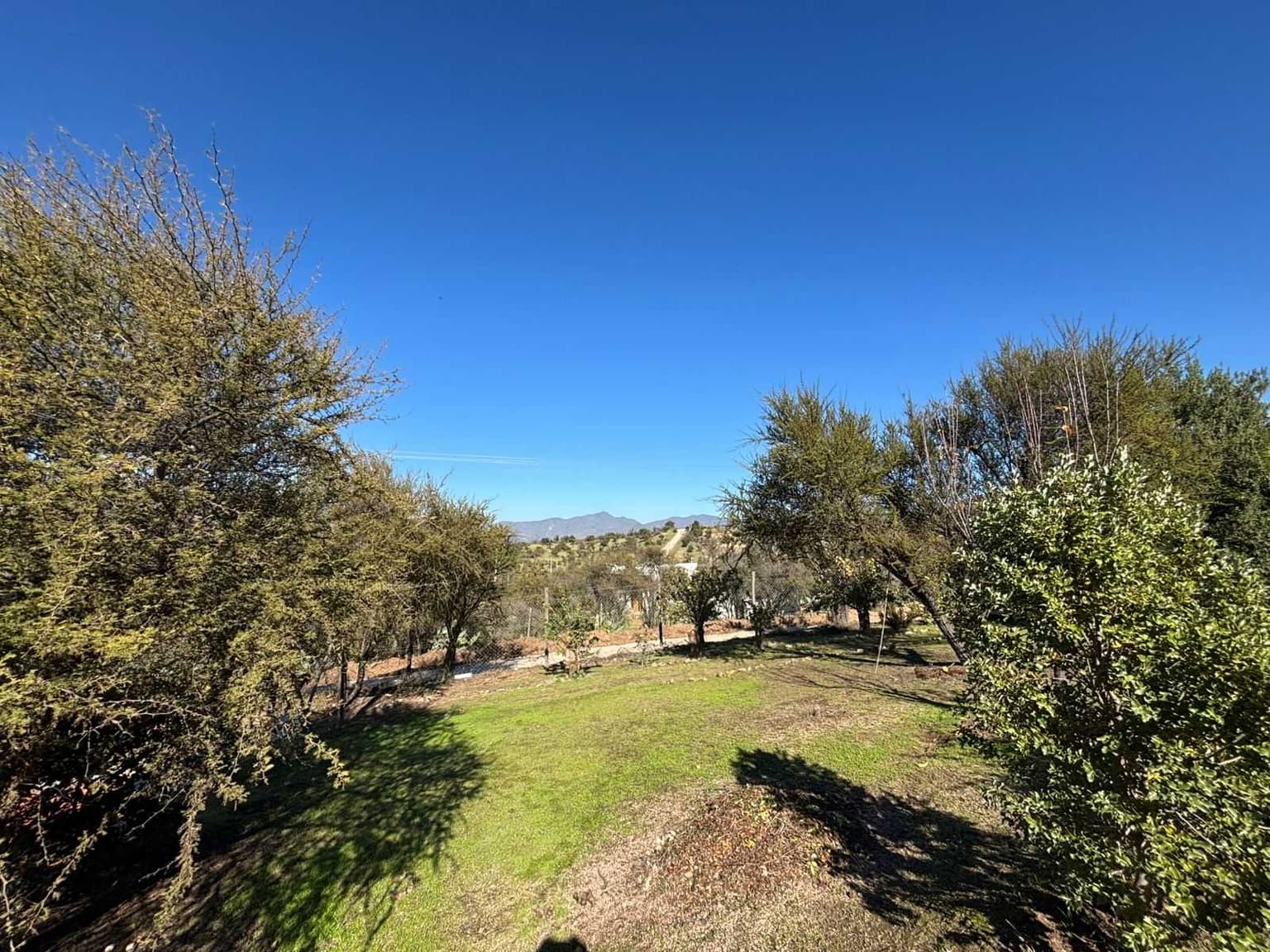 Parcela 5700 m2 - Piscina - Árboles Frutales (99965)