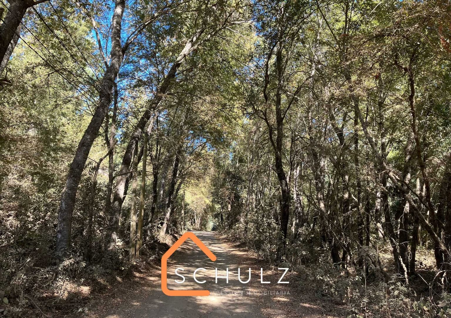 Vendemos Parcela en Vilches (76705)