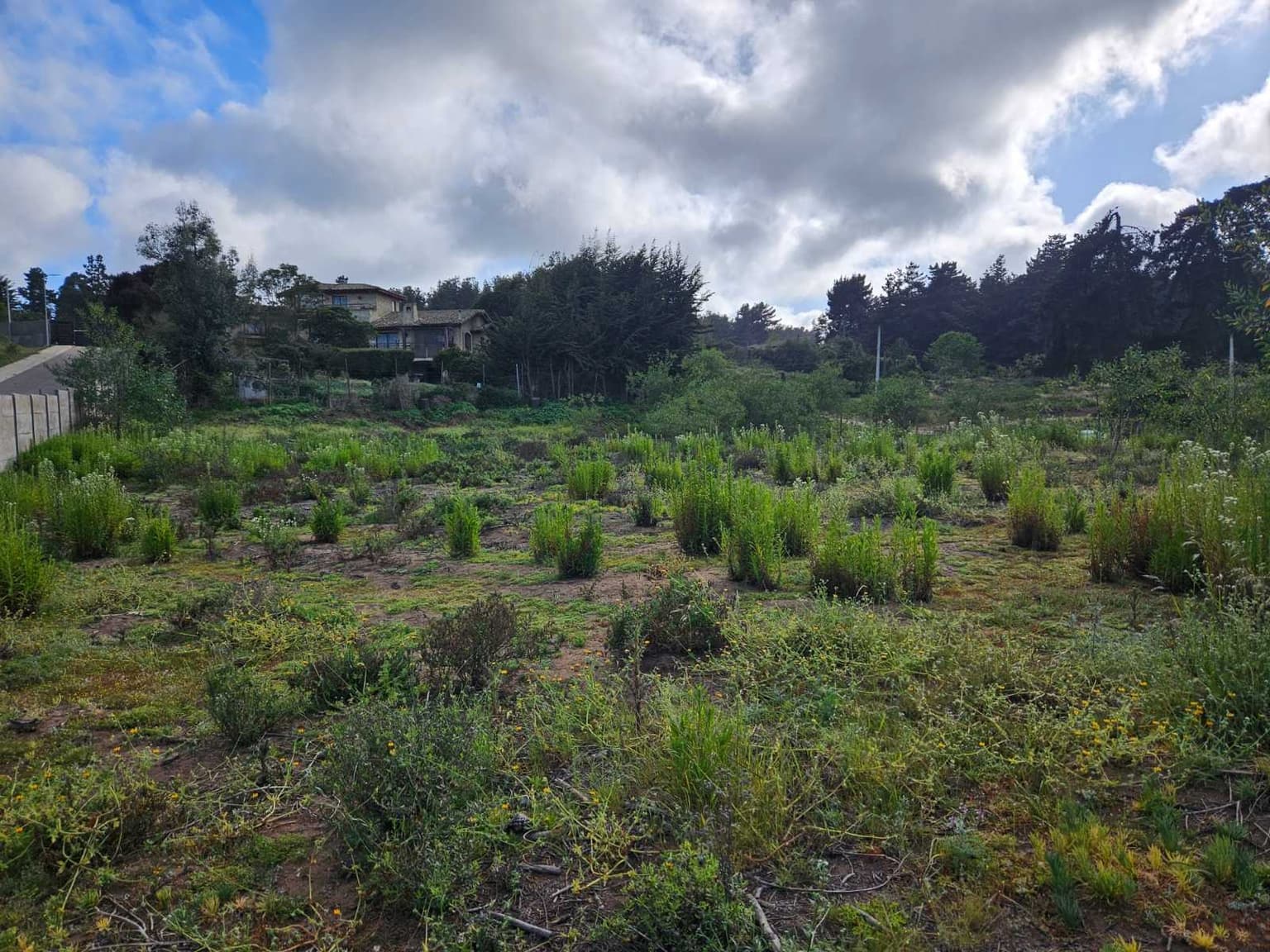 Terreno en Los Pinos de 1,500 m2 (84962)