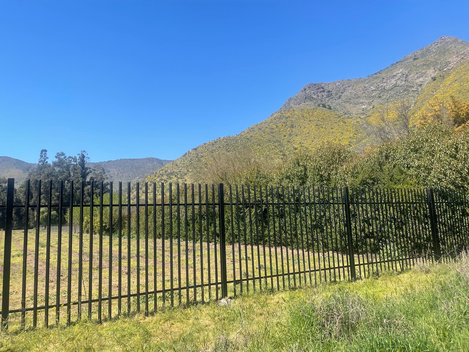 SE VENDE TERRENO SEC. EL RULO/ CON ROL (64593)