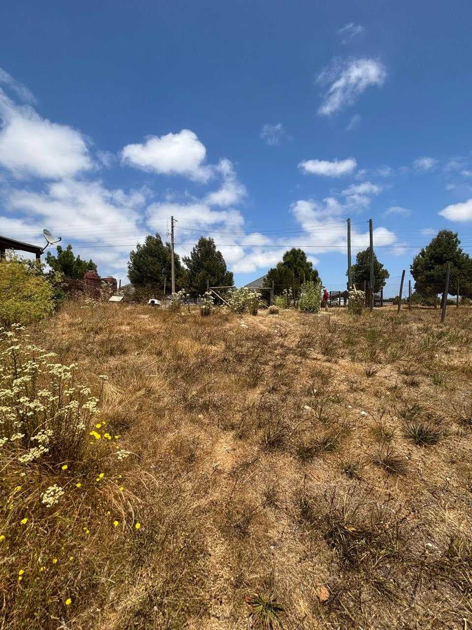 Venta sitios Algarrobo (68853)