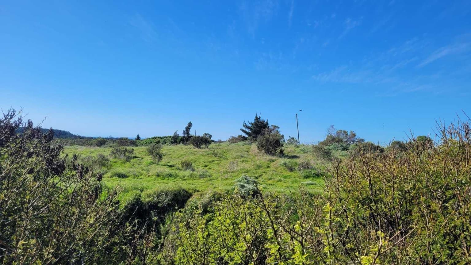 Bella Parcela El Convento Santo Domingo (119515)