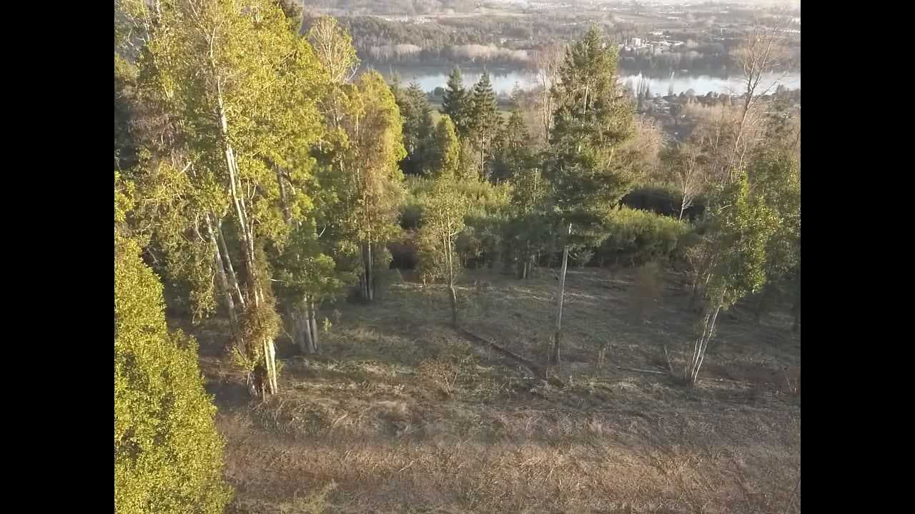 Naturaleza y Tranquilidad en Tu Nuevo Hogar (167485)