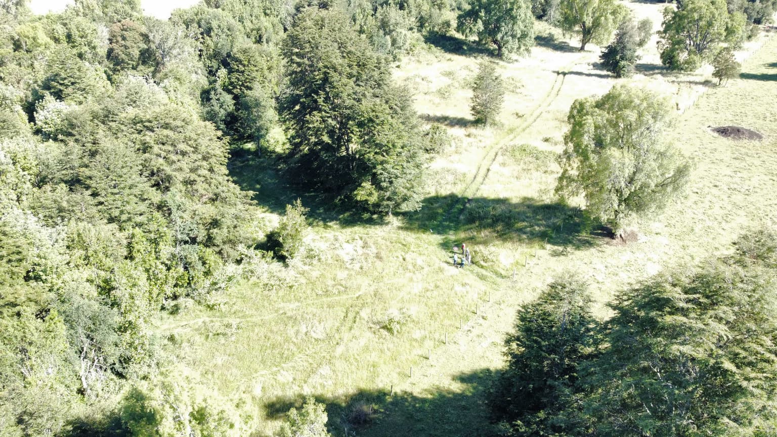 Terreno Rucatayo Alto, RioBueno (171980)