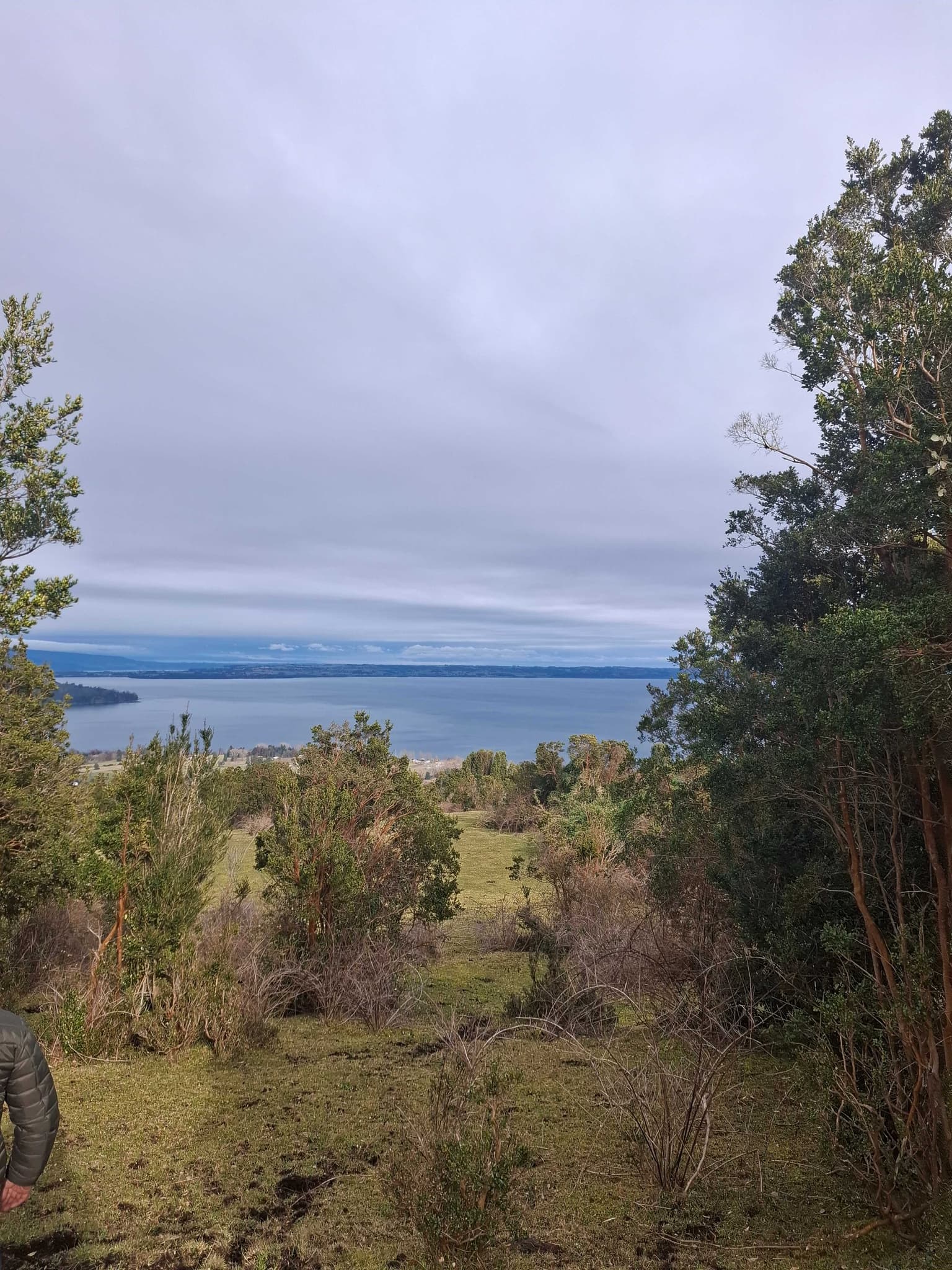 Mantilhue Alto, Rio Bueno, Region de los Ríos (172570)