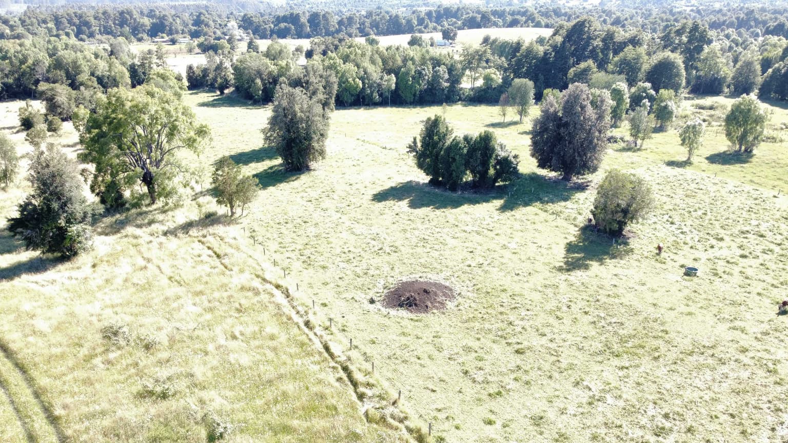 Rucatayo Alto, Río Bueno Region los Ríos (172573)