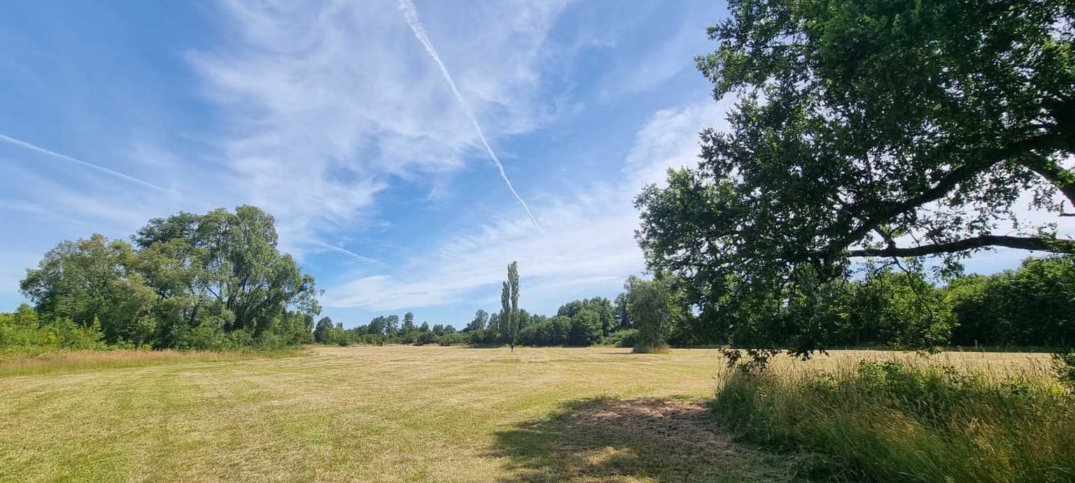 NUEVO PROYECTO DE PARCELAS PUERTO NUEVO (131855)