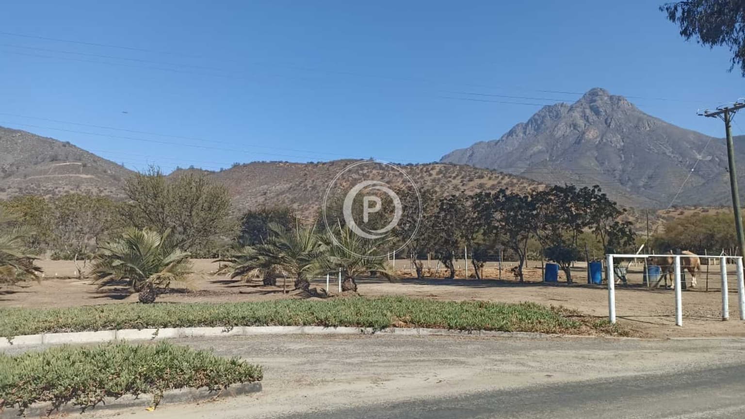 Venta Parcela Oasis La Campana Hijuelas (157372)