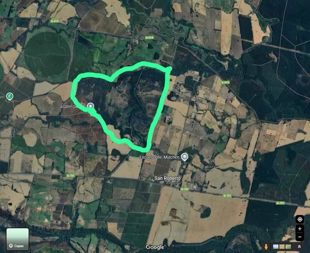 "Gran Oportunidad 178 Hectáreas en Venta" (89329)