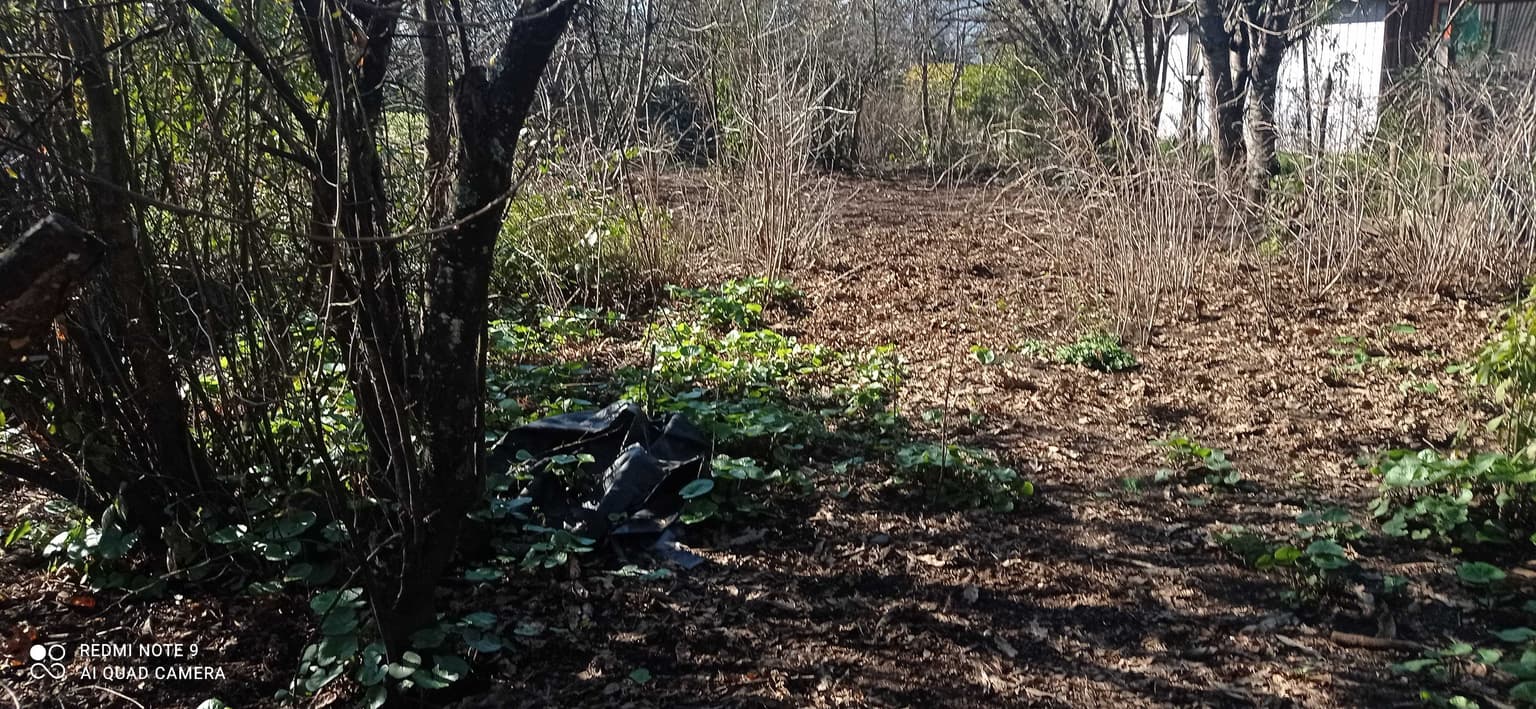 Ubicación Estratégica para Invertir (132362)