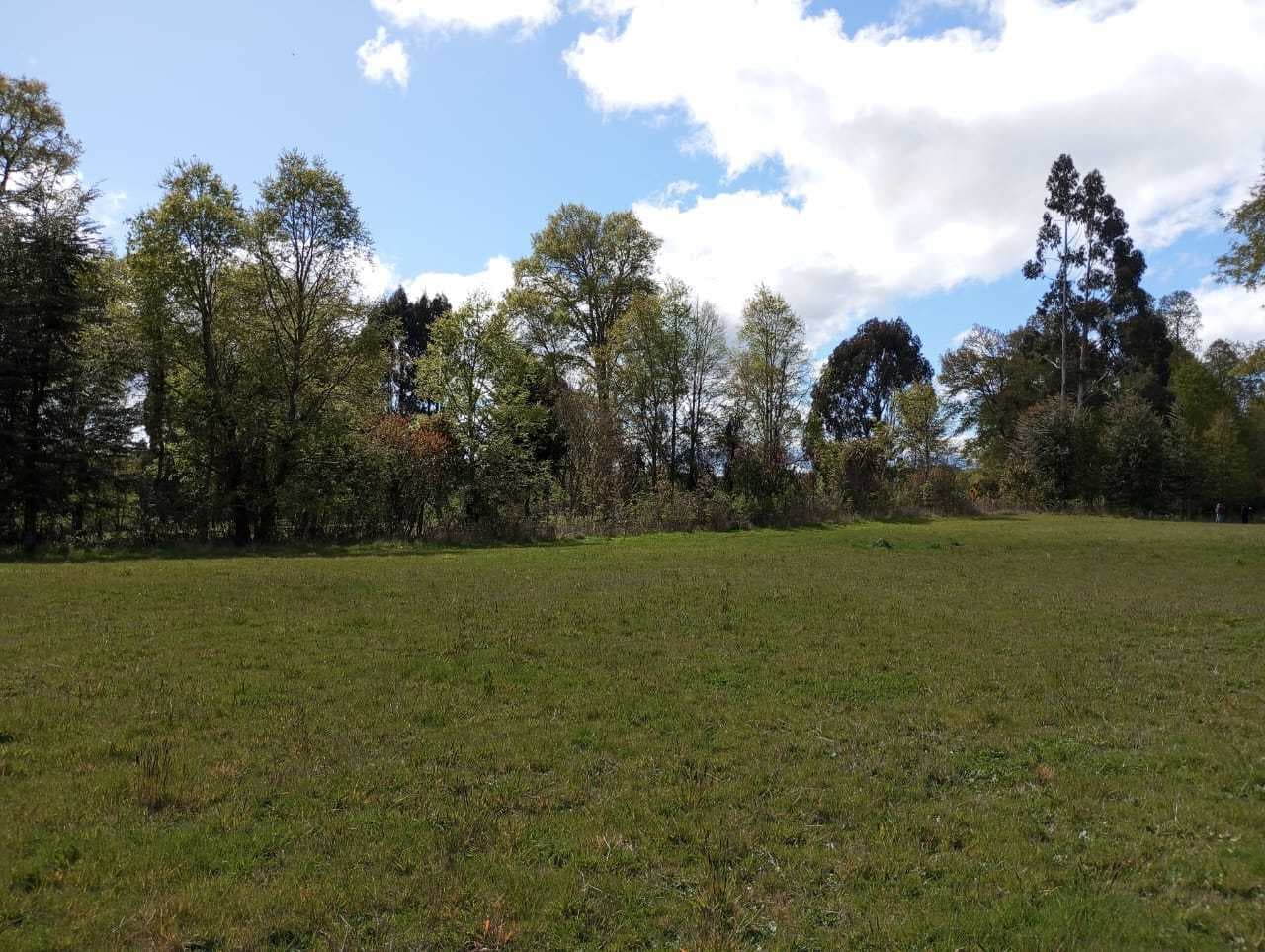Vida Tranquila en Amplia Parcela (132733)