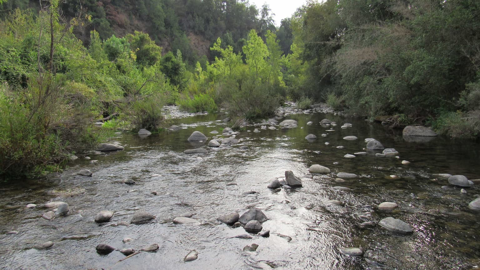 Campo en Vilches 8,75 há con Bosque Nativo (72937)