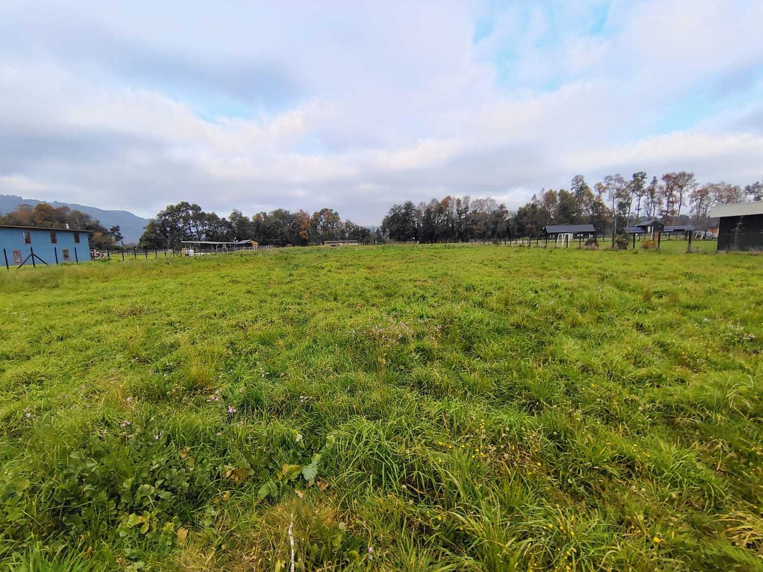 Vendo Parcela Sector el Remanso-Santa Elvira (165647)