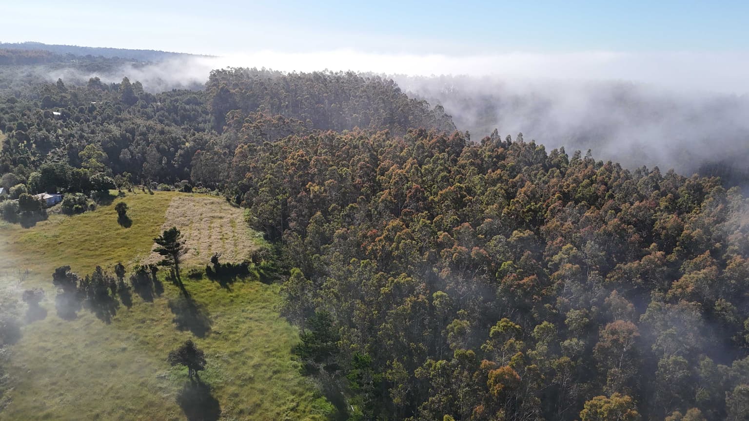 Vendo 11 Lotes Sector Costero (79372)