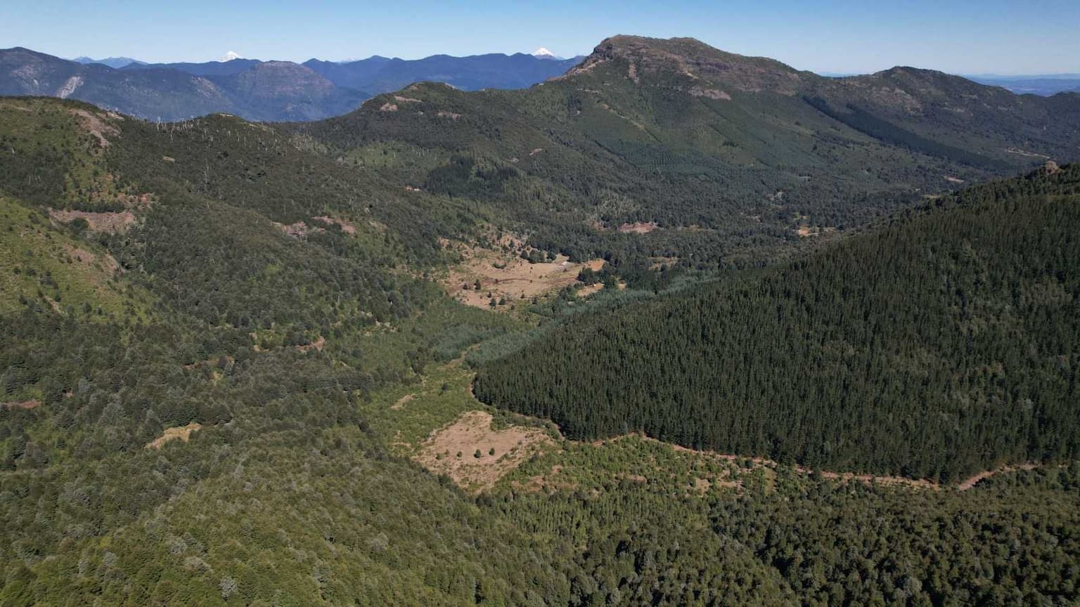 SE VENDE CAMPO DE 100 HECTÁREAS EN CUNCO (122752)