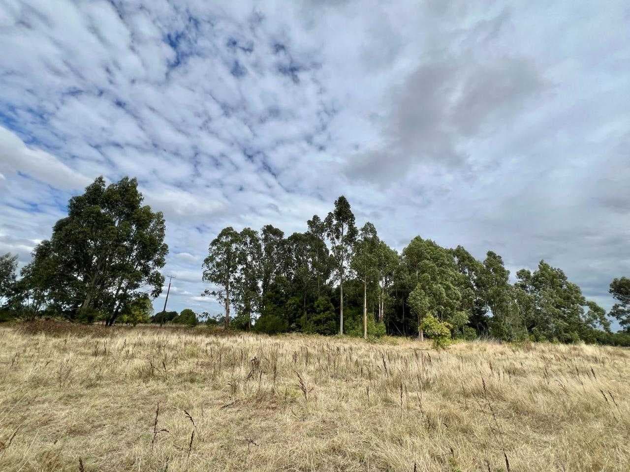 SE VENDE HERMOSA PARCELA CAMINO BOTROLHUE (171054)