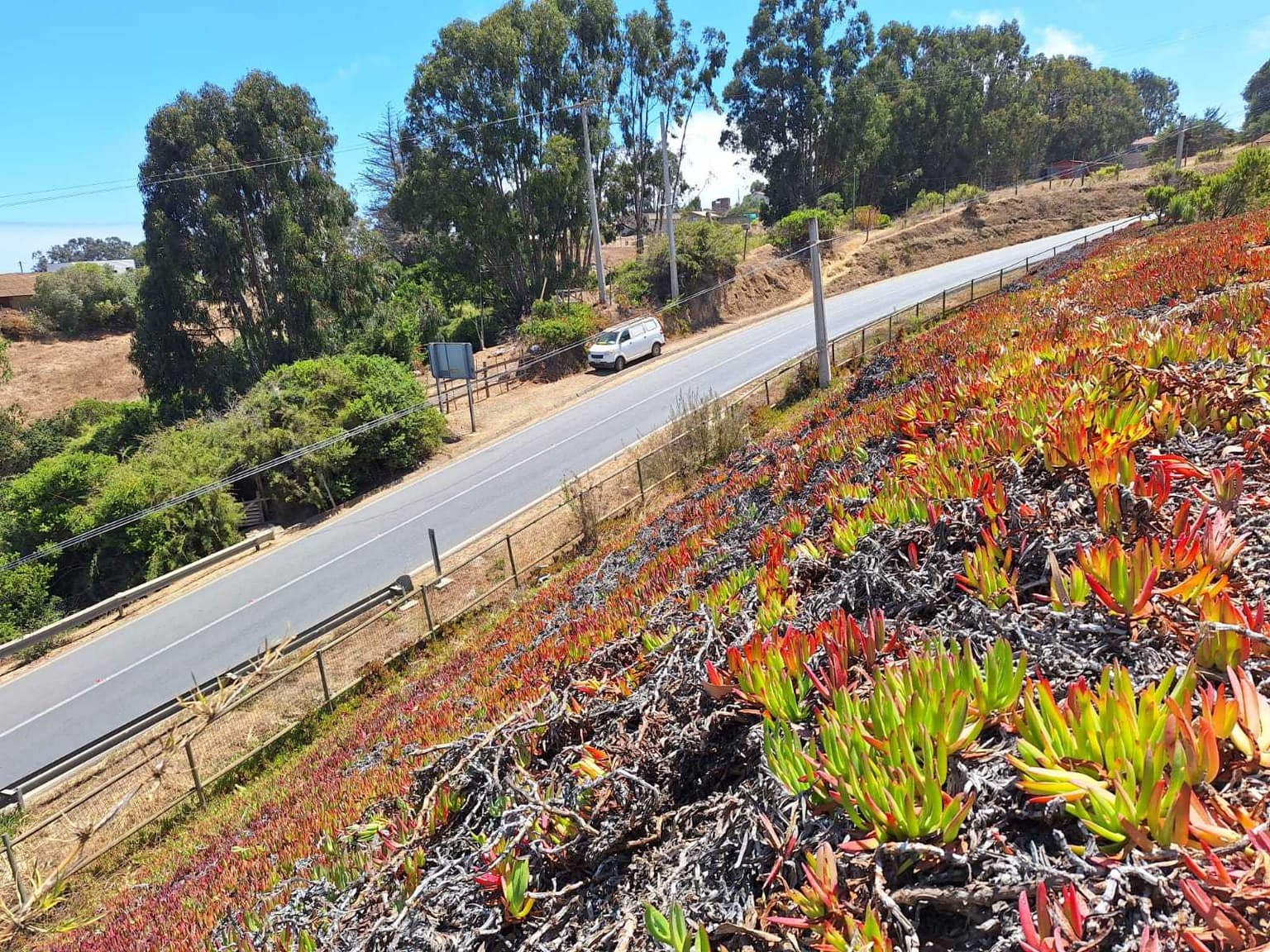 TERR. CERCA DEL MIRADOR DEL YECO II (66378)