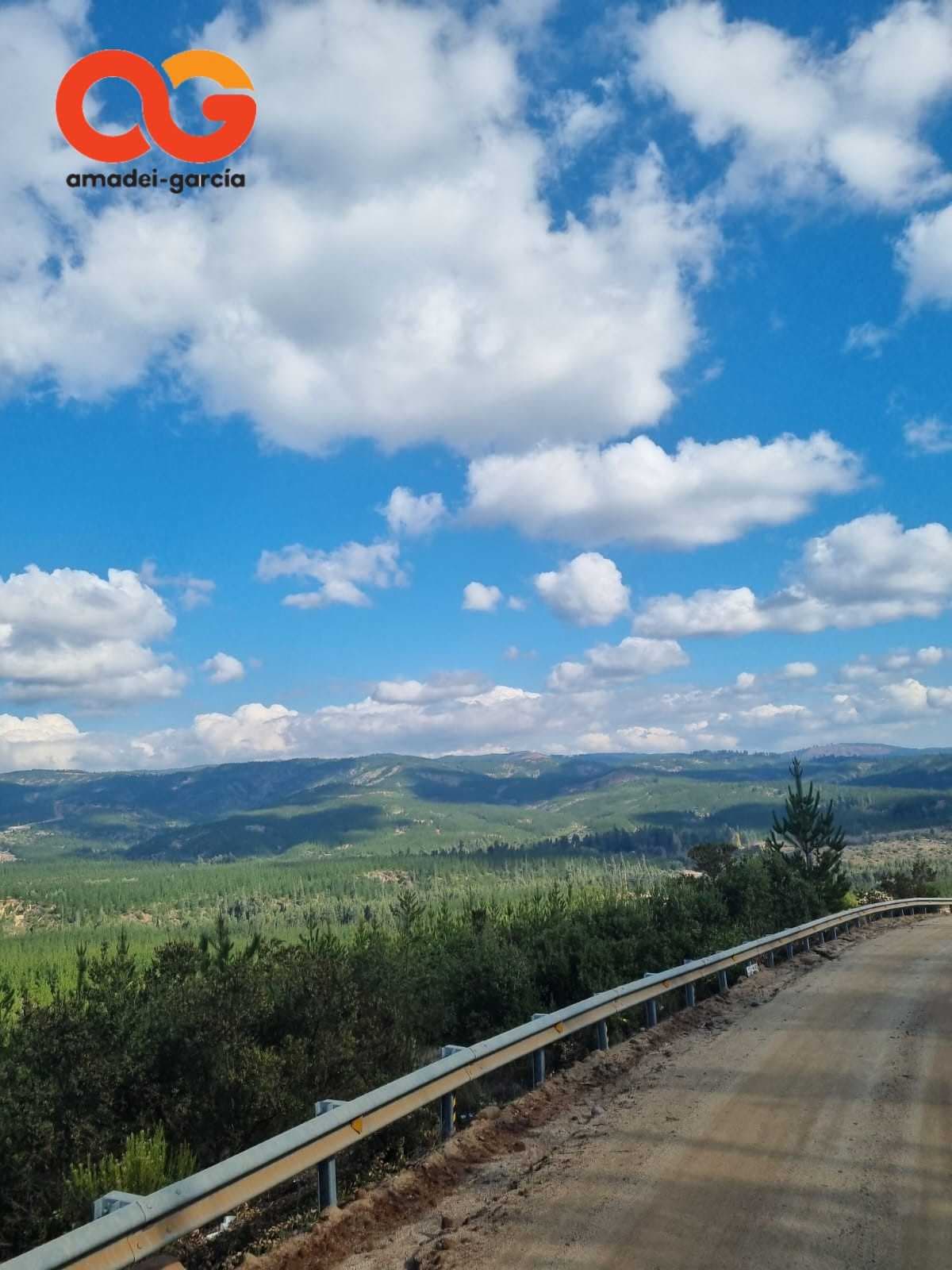 SECTOR LA HUERTA, HUALAÑE/ REGIÓN EL MAULE (109864)