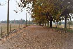 GRAN OPORTUNIDAD PARCELAS ,SANTA RITA,PIRQUE (173572)