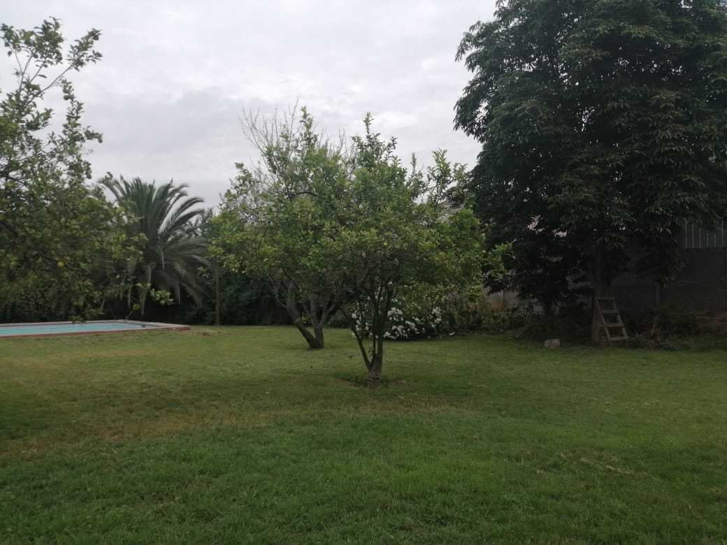 VENTA PARCELA BUIN. CALIDAD DE VIDA (147519)