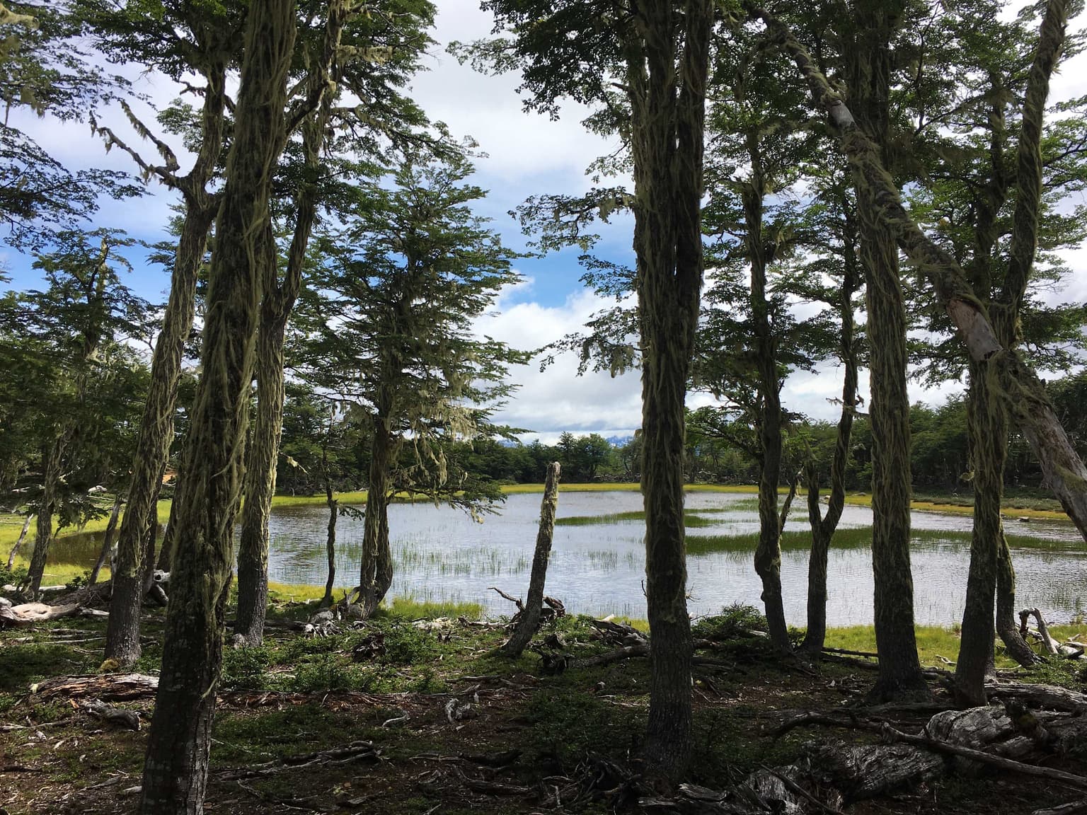 Excelente Inversión Aysén, Tapera (131200)