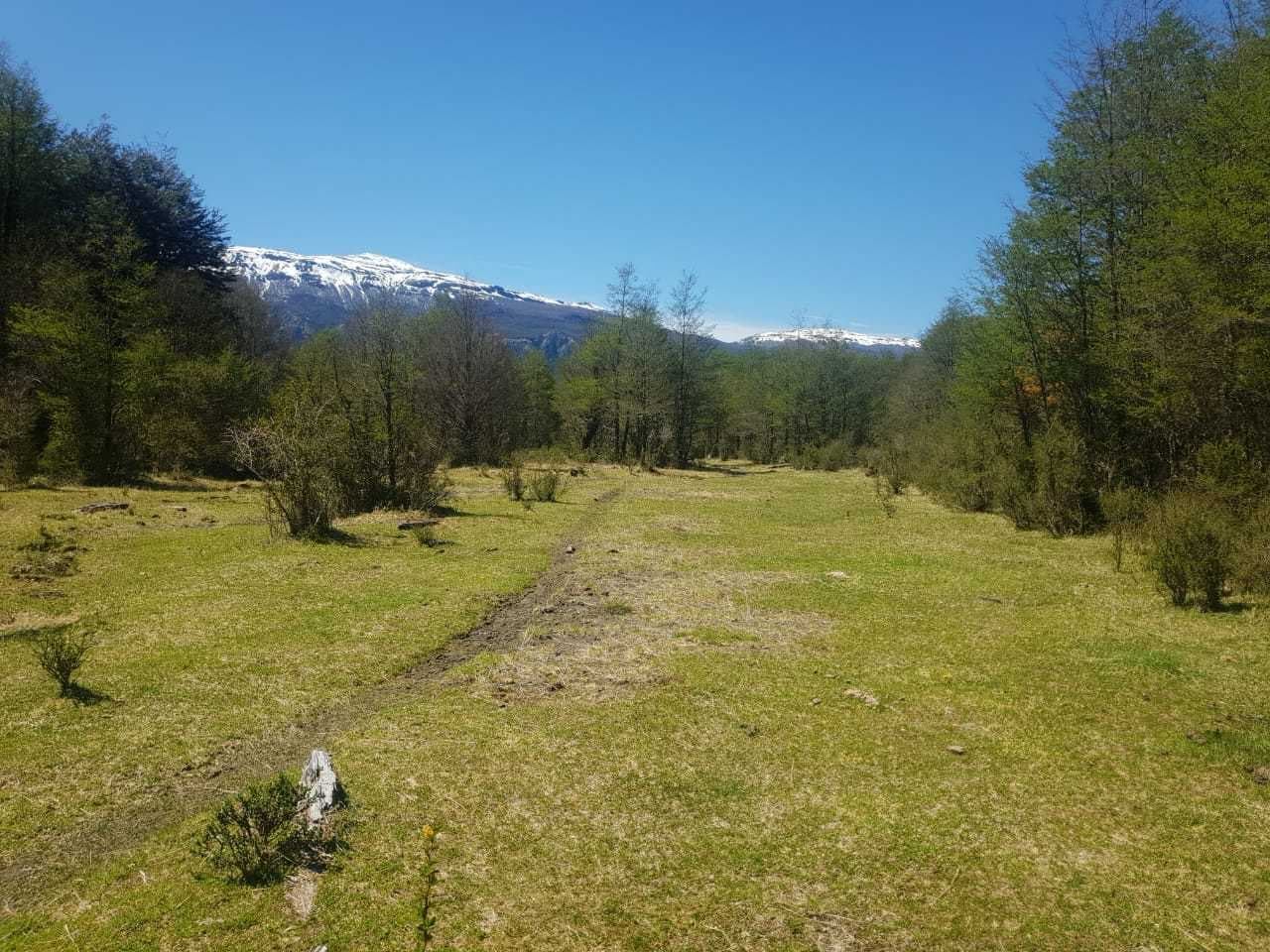 Hermosa propiedad a orillas del Rio Ibañez (66807)