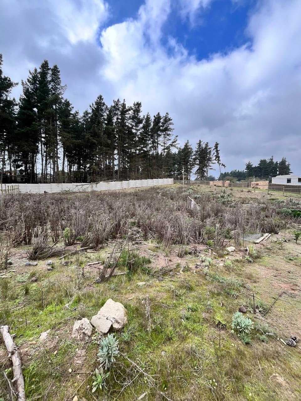 Terreno, ubicación en Los Pinos, Reñaca (160582)