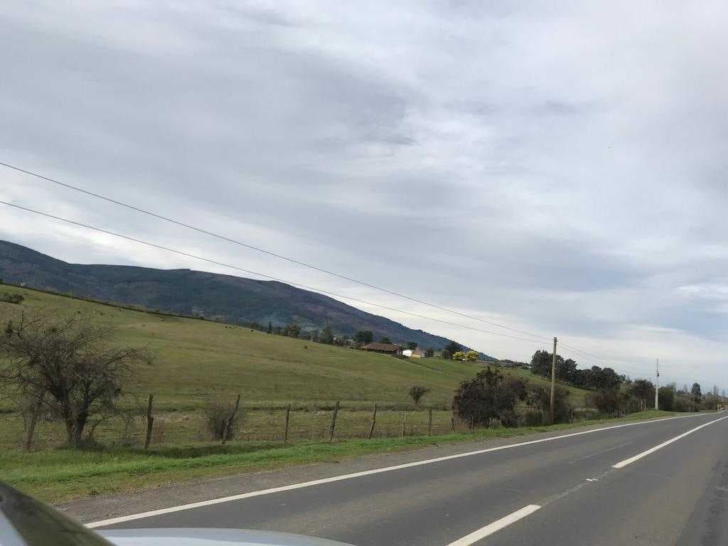 SE VENDE CAMPO 100 HAS (60475)