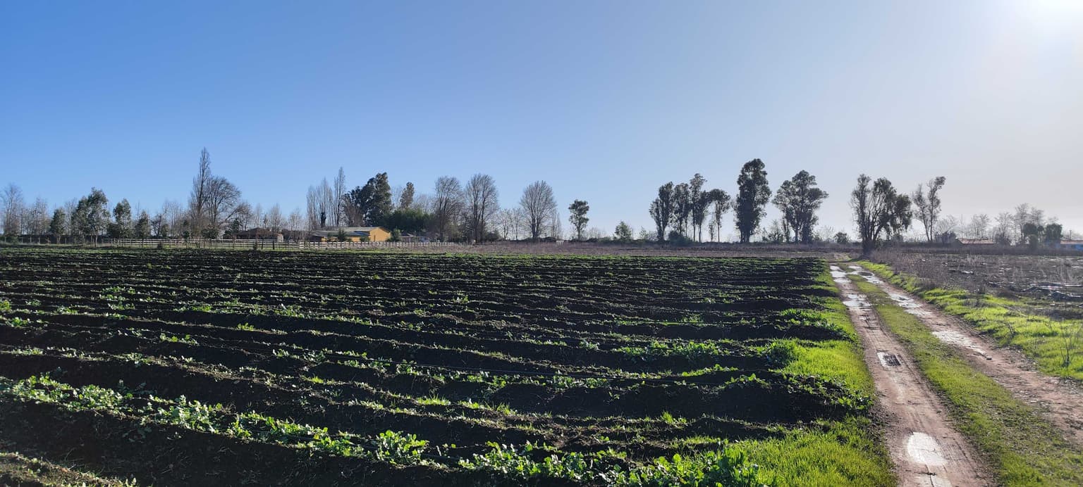 SE VENDE ESPECTACULAR PARCELAS PLANAS (25820)