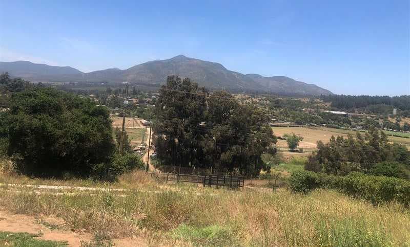 Vista campo y mar (64296)