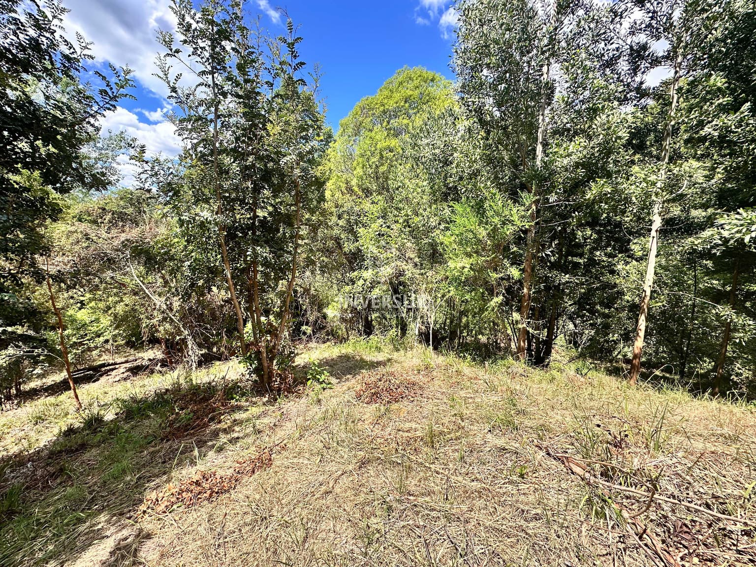 Se vende hermoso terreno en Arique (133760)