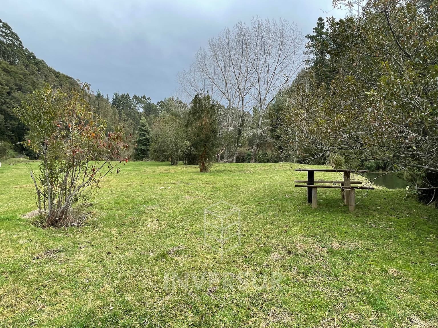 Tranquilidad y Naturaleza en Parcela Valdivia (135359)