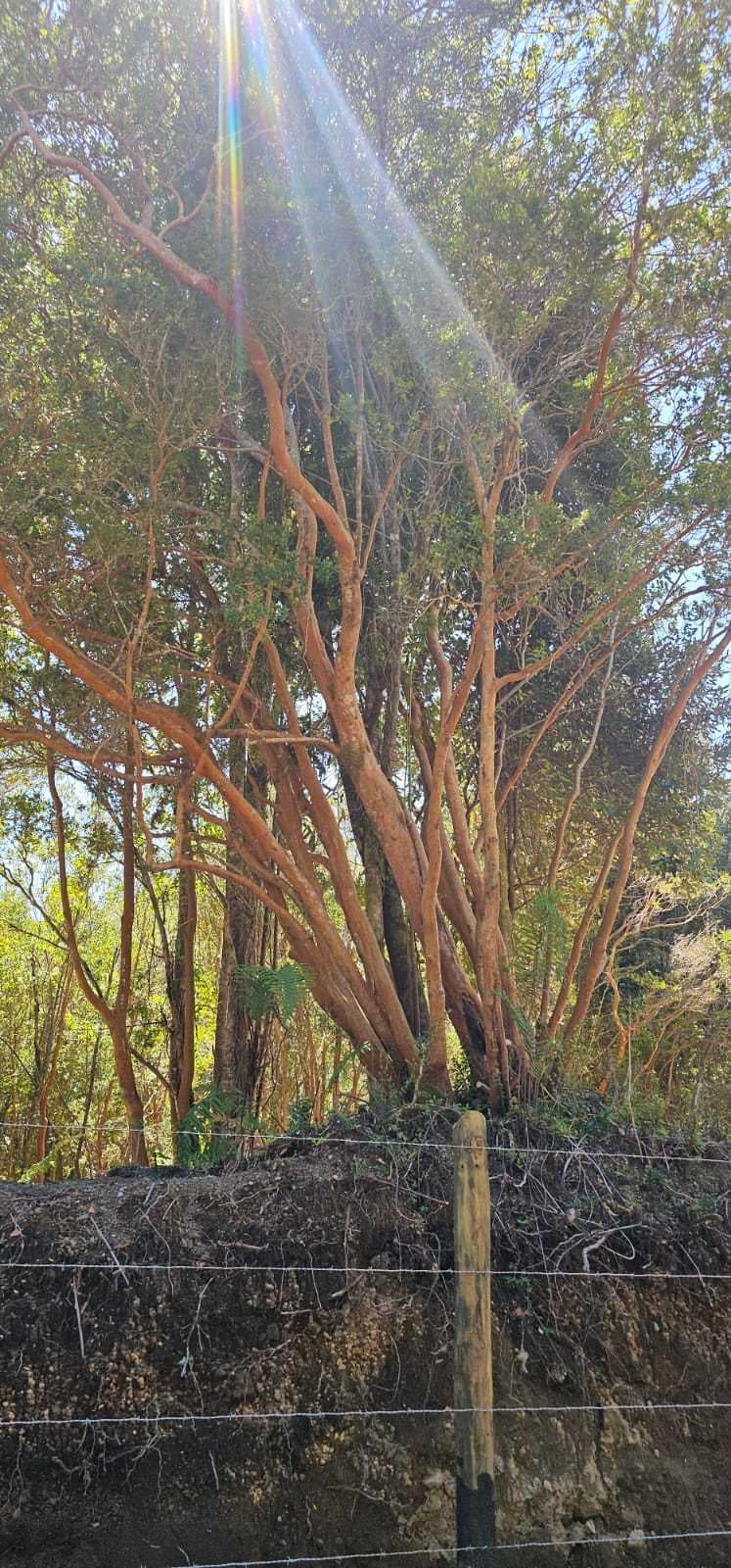 Naturaleza y Tranquilidad A Tu Alcance (147152)