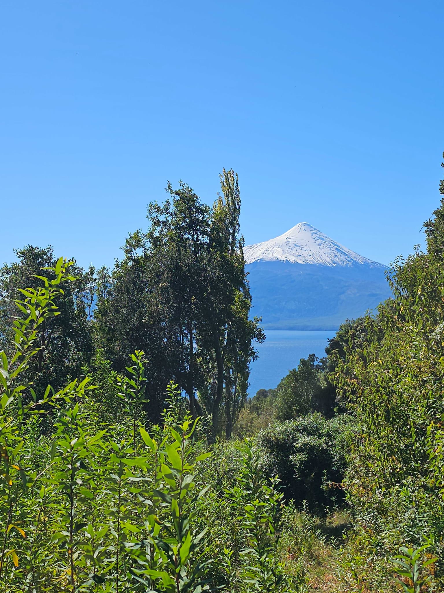Hermosa Parcela con vista al lago (92519)